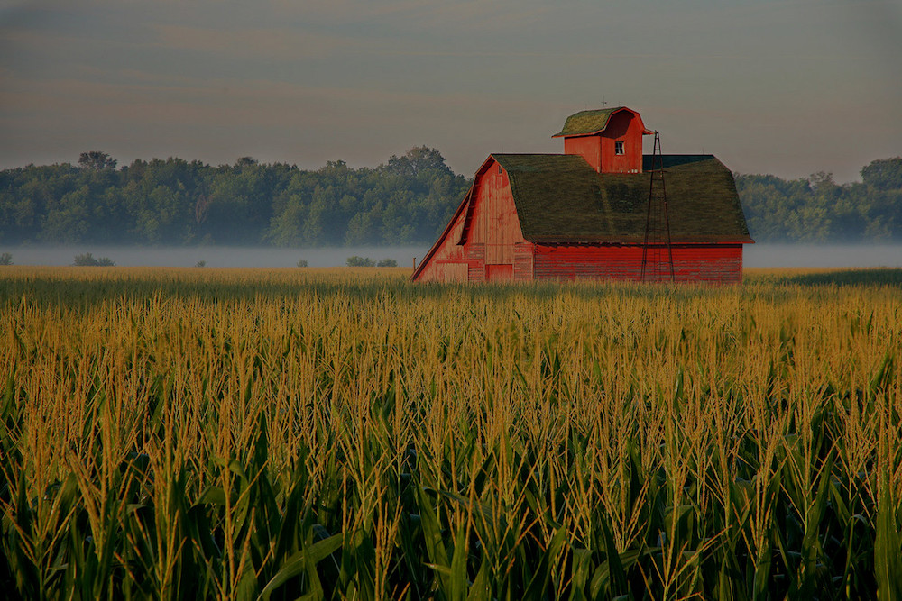 farm and crop insurance Salem MO